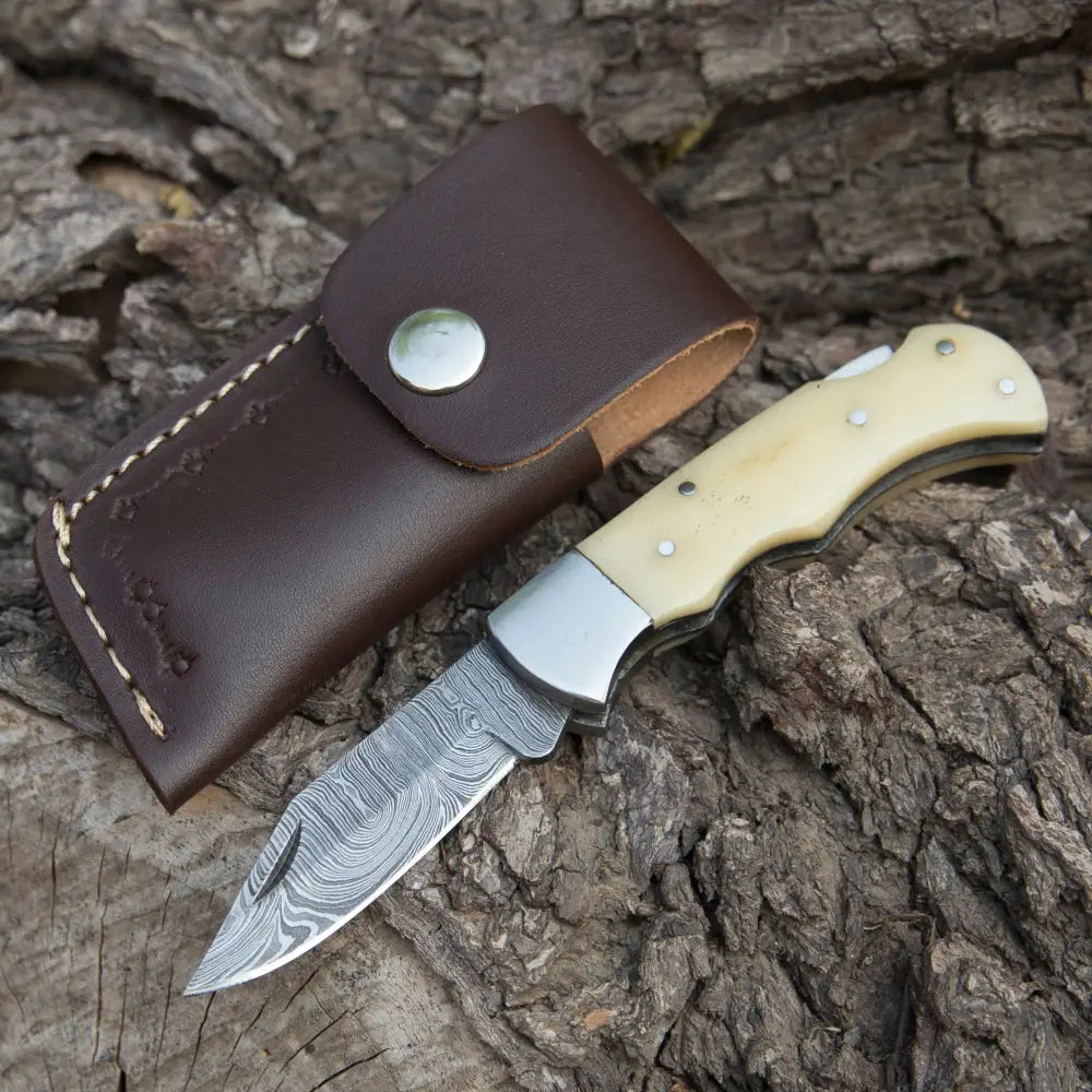 Back Lock Folding Knife