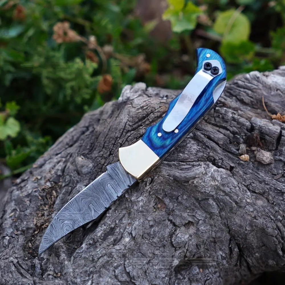 Folding Knife with Pocket Clip