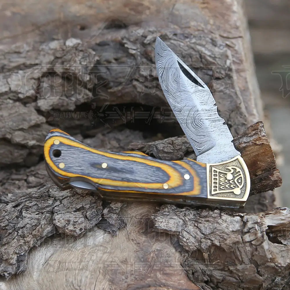 Customs Hand Made Damascus Steel Hunting Folding Knife Brass Bolster With Colored Wood Handle WH 2593