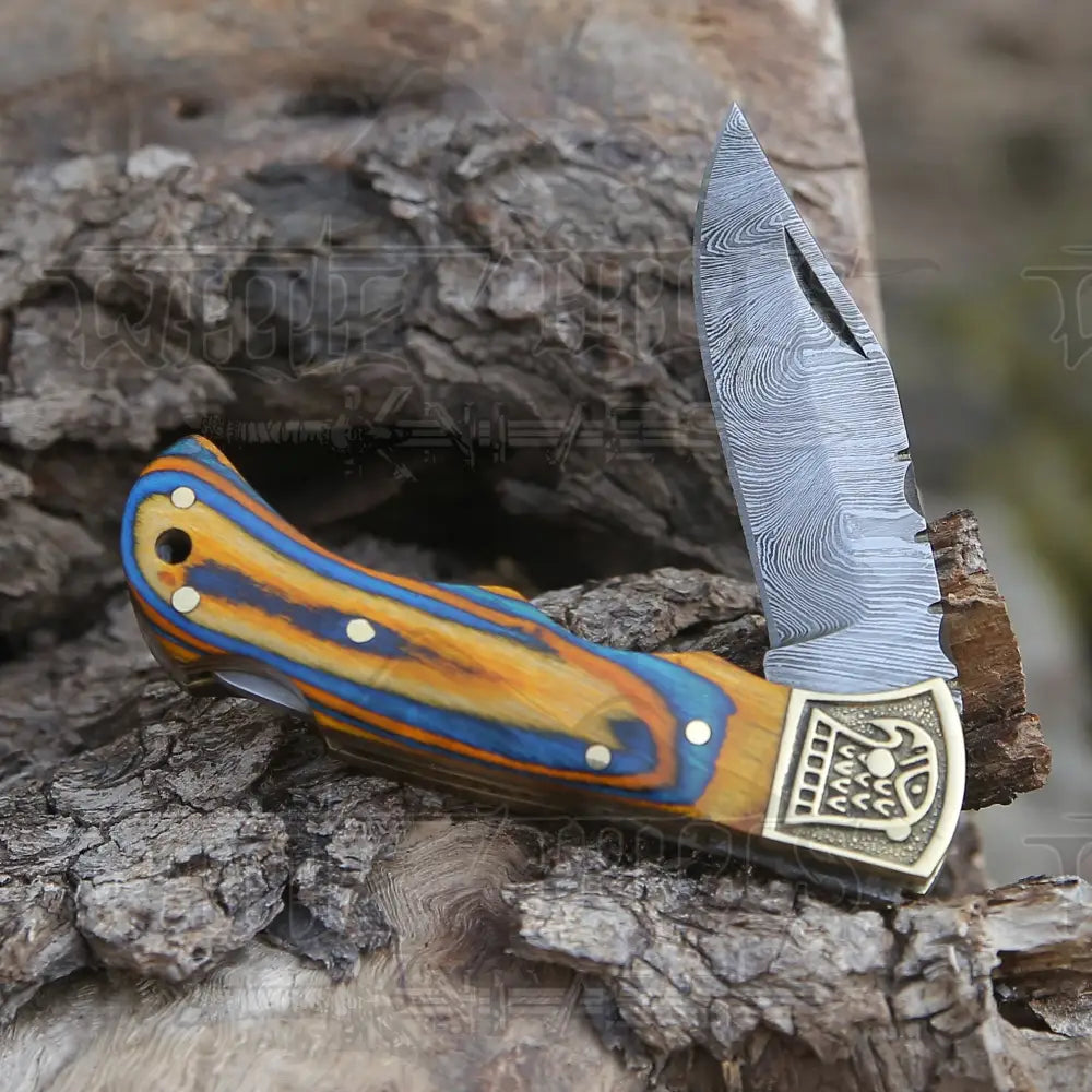 Customs Hand Made Damascus Steel Hunting Folding Knife Brass Bolster With Colored Wood Handle WH 2593