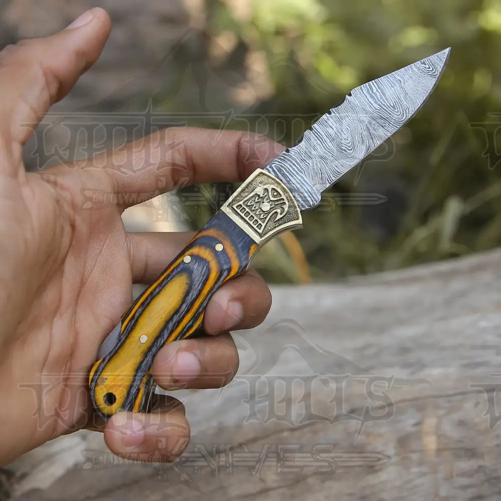 Customs Hand Made Damascus Steel Hunting Folding Knife Brass Bolster With Colored Wood Handle WH 2593