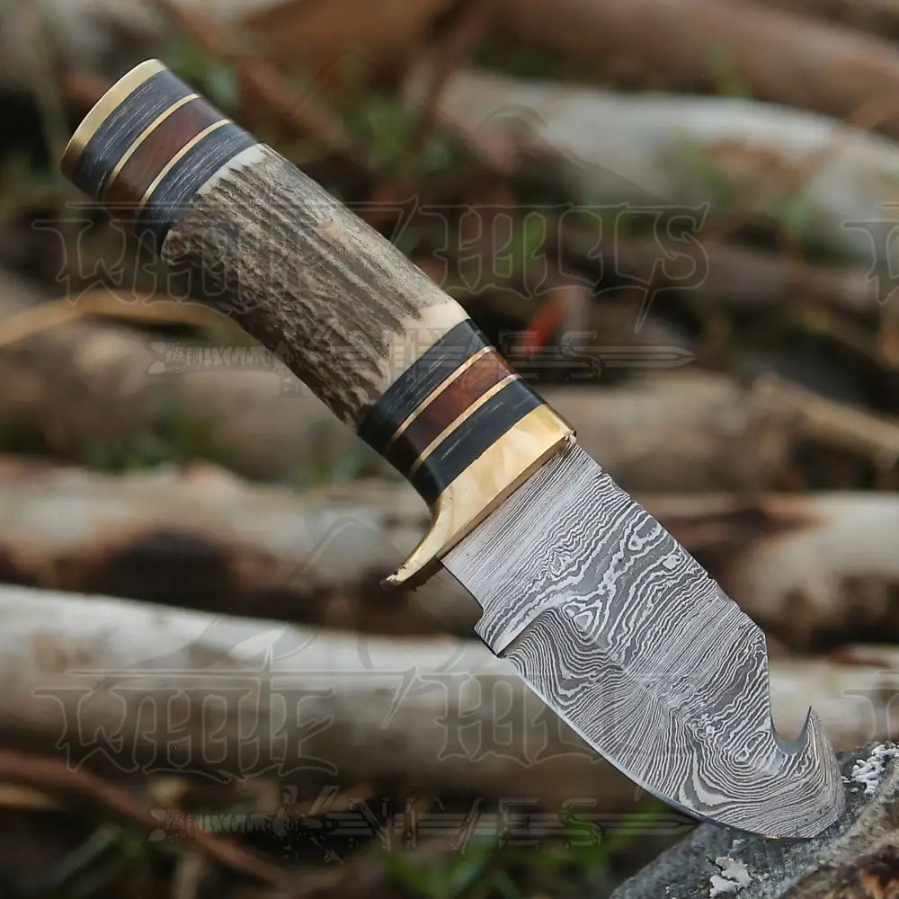 Handmade Damascus Steel Gut Hook Hunting Knife With Stag Handle WH 3738