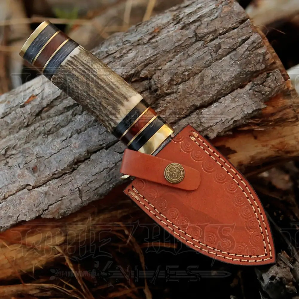 Handmade Damascus Steel Gut Hook Hunting Knife With Stag Handle WH 3738