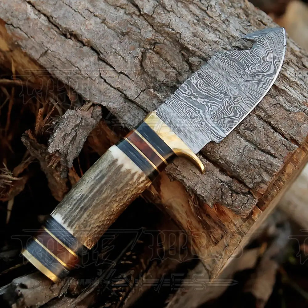 Handmade Damascus Steel Gut Hook Hunting Knife With Stag Handle WH 3738