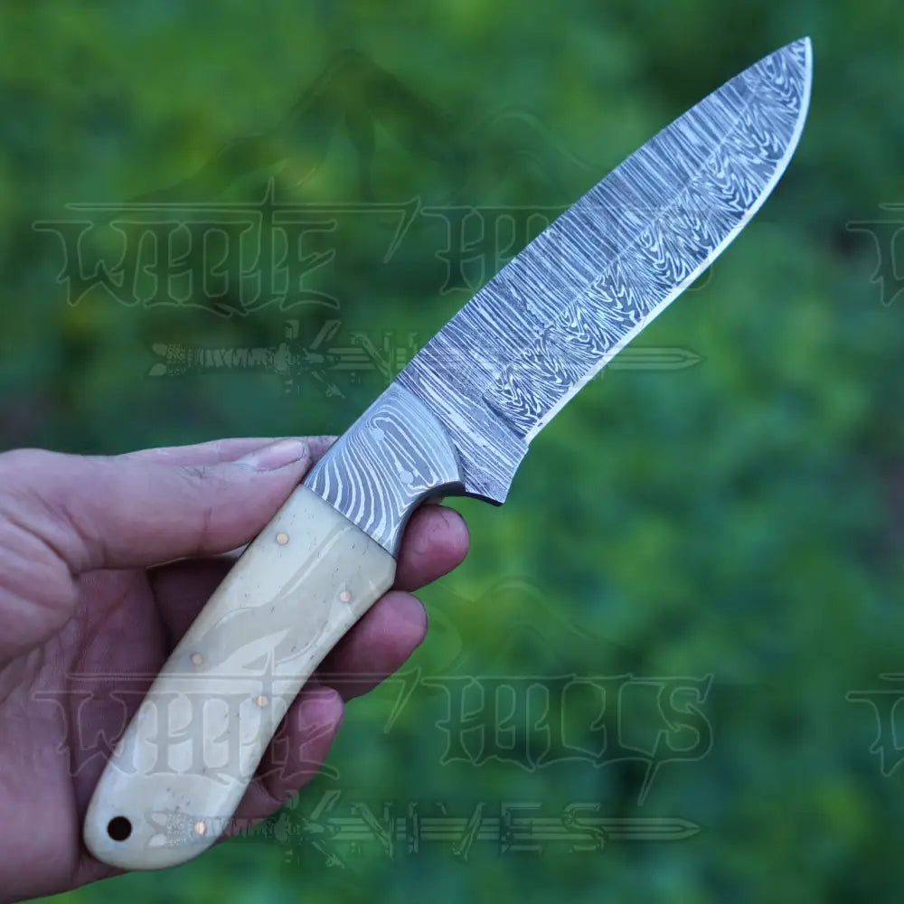 Handmade Damascus Steel Hunting Knife with Damascus Bolster & Camel Bone Handle