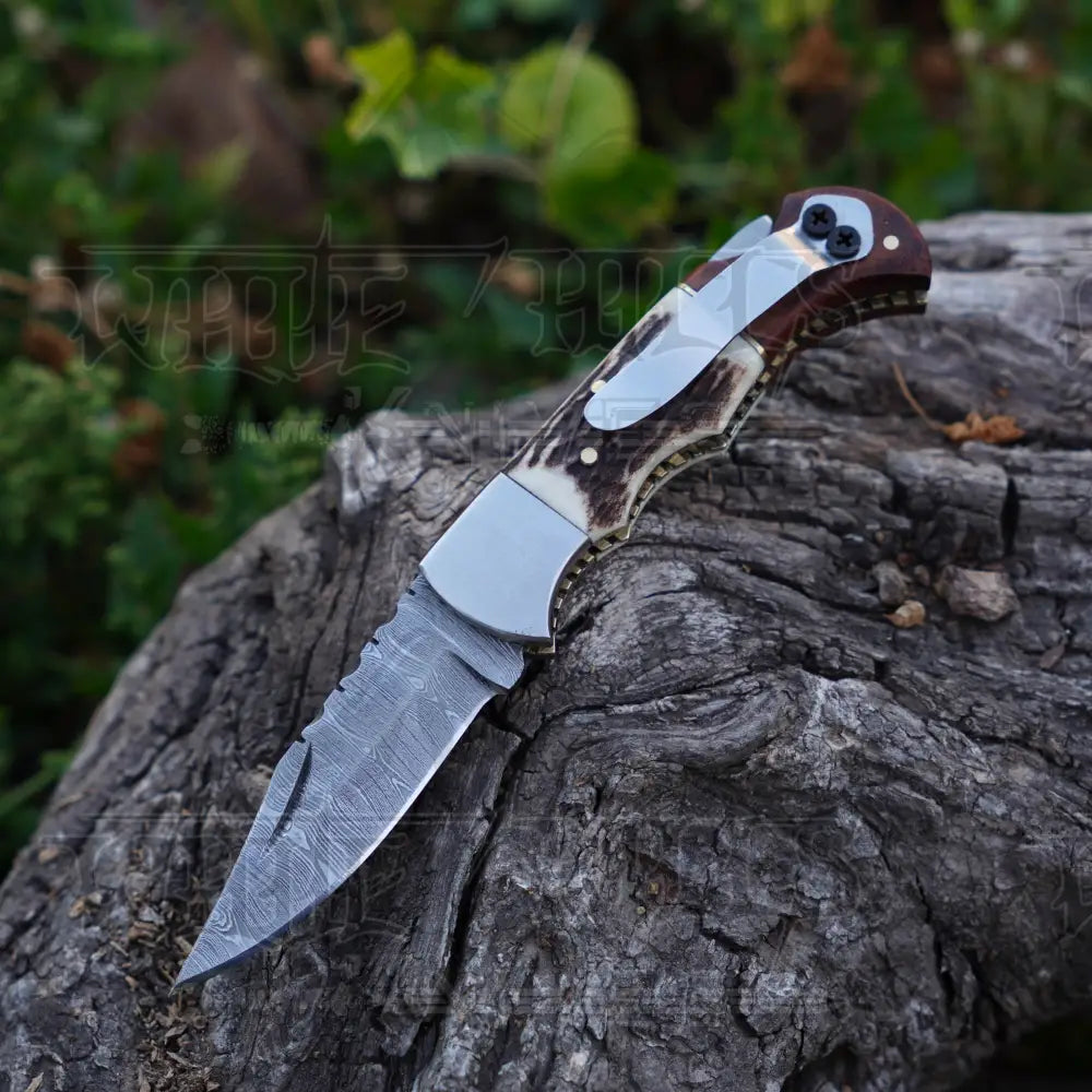 Handmade Damascus Steel Hunting Pocket Folding Knife with Pocket Clip - Camping Folding Blade With Stag & Wood Handle WH 3985-CP