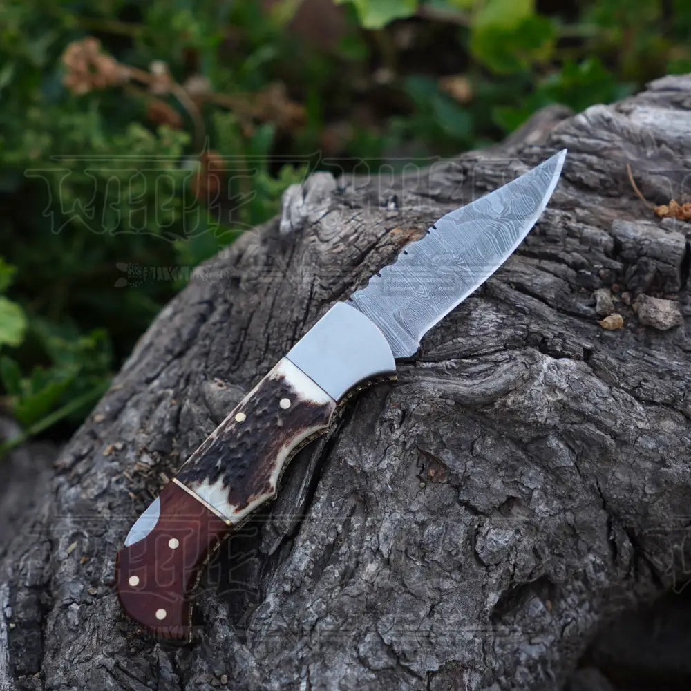 Handmade Damascus Steel Hunting Pocket Folding Knife with Pocket Clip - Camping Folding Blade With Stag & Wood Handle WH 3985-CP