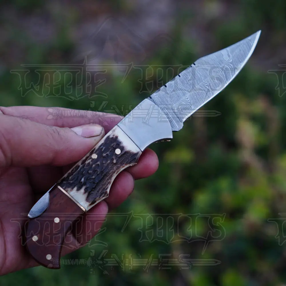 Handmade Damascus Steel Hunting Pocket Folding Knife with Pocket Clip - Camping Folding Blade With Stag & Wood Handle WH 3985-CP