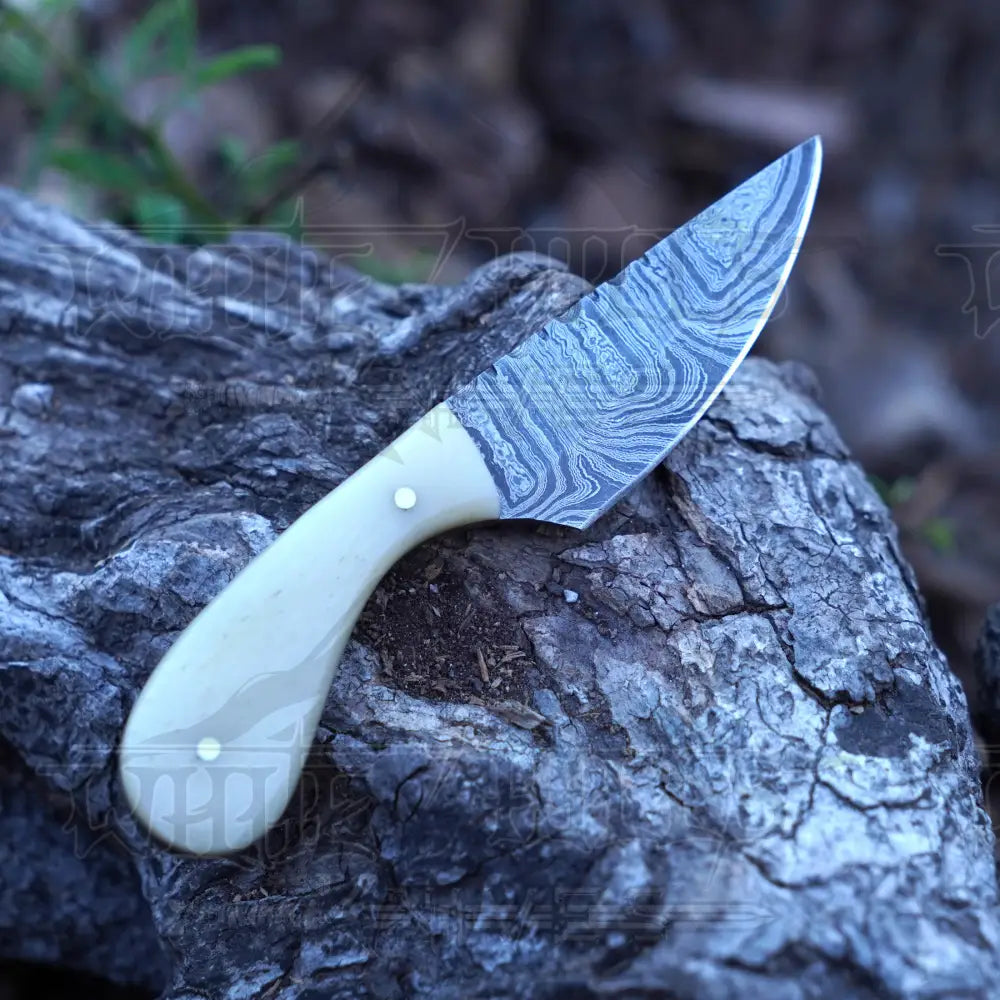 Handmade Damascus Steel Knife - Camel Bone Handle - 5" Full Tang Hunting & Camping Knife - SK-032