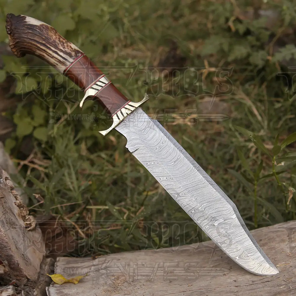 Handmade Forged Damascus Steel Hunting Bowie Rambo Knife with Deer Crown Stag Handle