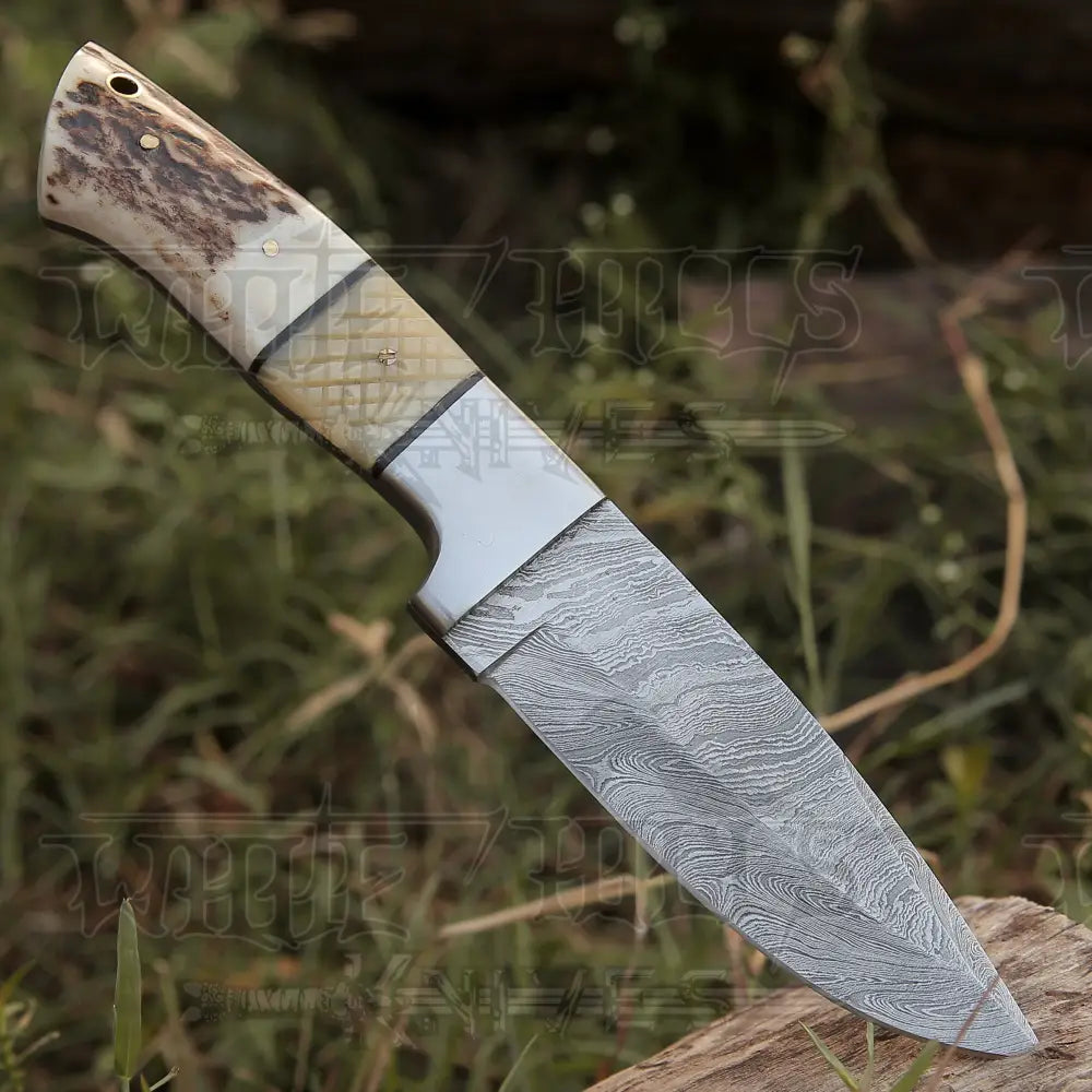 Handmade Forged Damascus Steel Hunting Skinner Knife EDC 9” -V3 With Stag Antler & Engraved Camel Bone Handle WH 4428