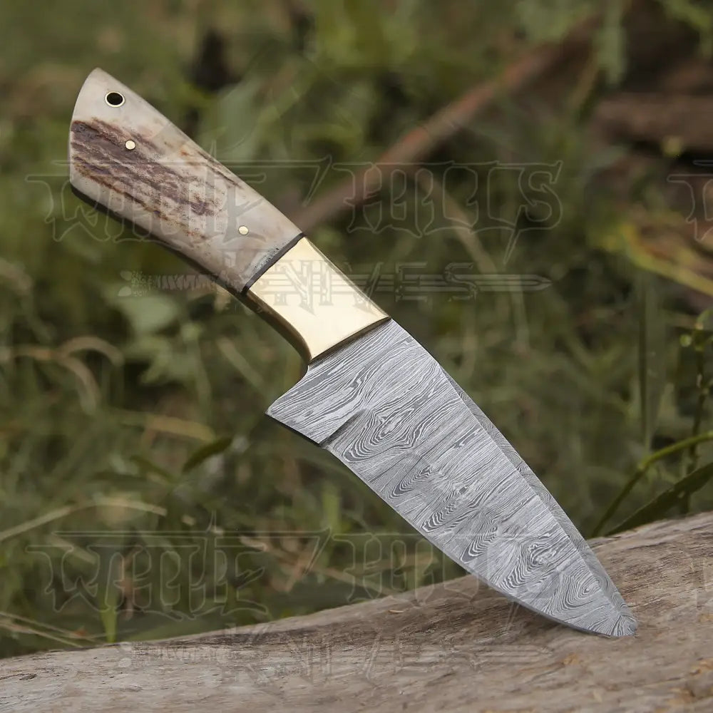 Handmade Forged Damascus Steel Hunting Skinner Knife EDC 9” V3 With Stag Antler & Engraved Camel Bone Handle WH 4429