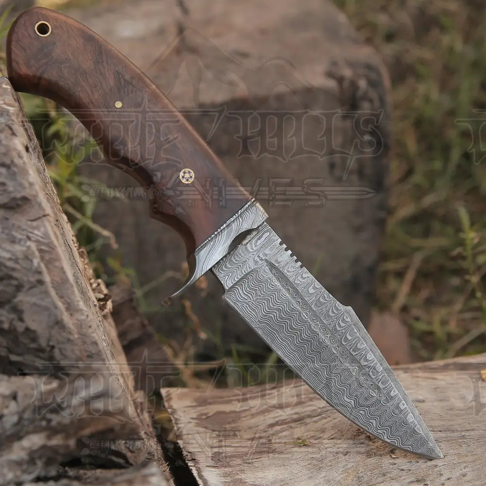 Handmade Hunting Bushcraft Knife Forged Damascus Steel Survival EDC 10” With Wallnut Wood Handle