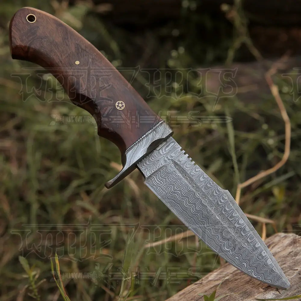 Handmade Hunting Bushcraft Knife Forged Damascus Steel Survival EDC 10” With Wallnut Wood Handle