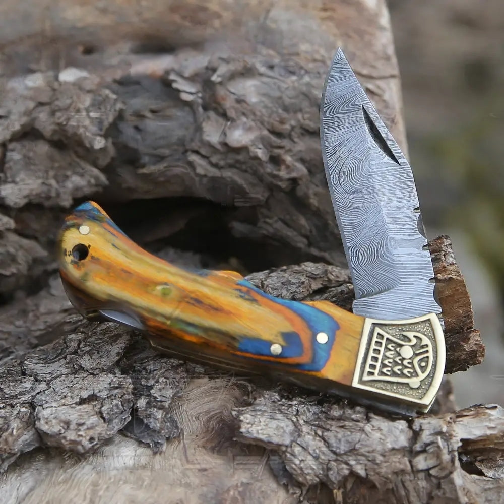 Hunting Folding Knife - Custom Steel Classic Pocket Knife with Brass Bolster & Multi-Colored Wood Handle WH 2593