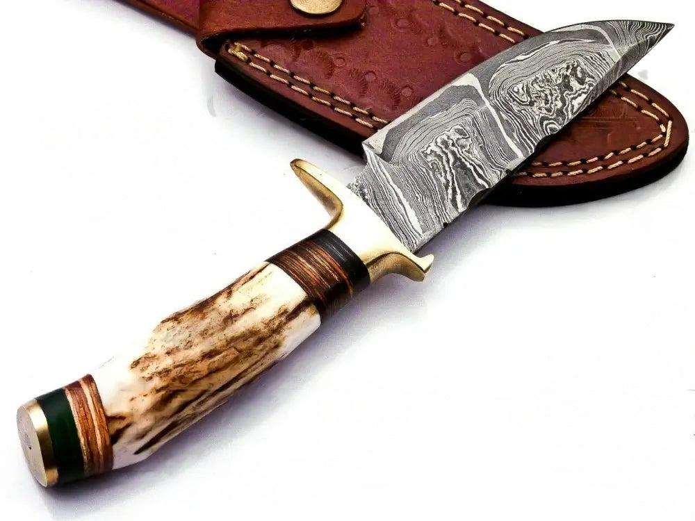 Custom Hand Forged Damascus Steel Camping Brass Guard Knife & Stag Handle WH 57