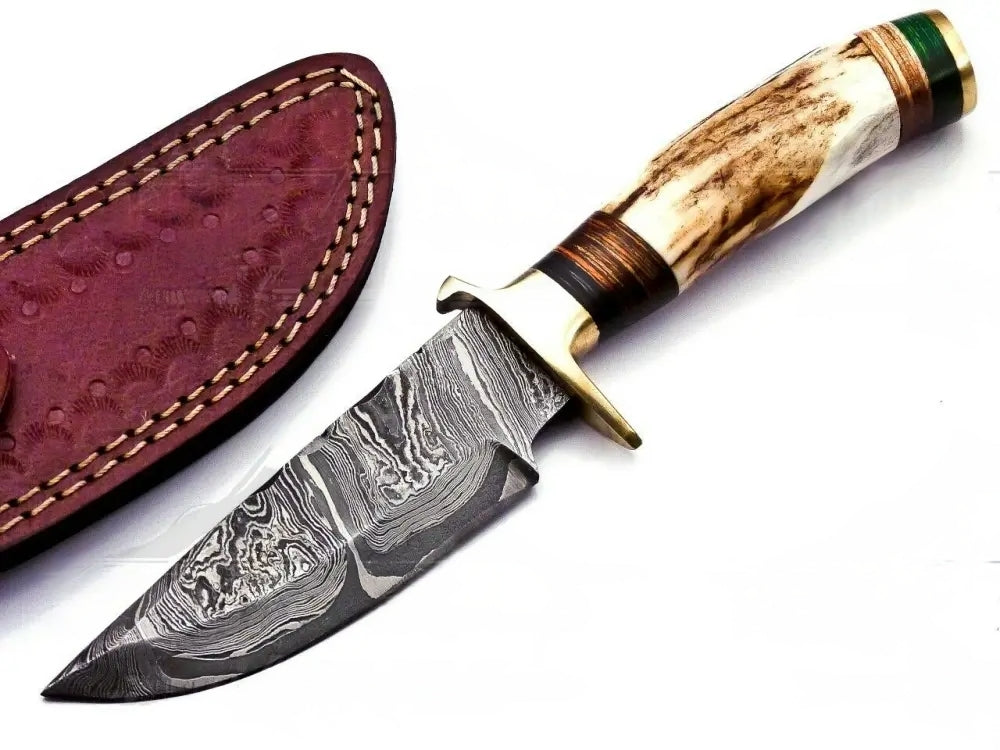 Custom Hand Forged Damascus Steel Camping Brass Guard Knife & Stag Handle WH 57