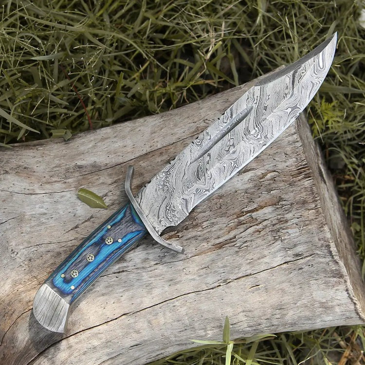 knife with blue handle